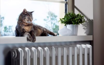 5 HVAC Maintenance Tips for Pet Owners in Apex, NC