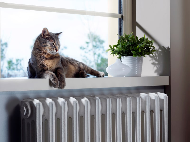 HVAC maintenance more important with pets